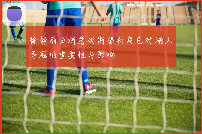 徐静雨分析詹姆斯替补角色对湖人争冠的重要性与影响